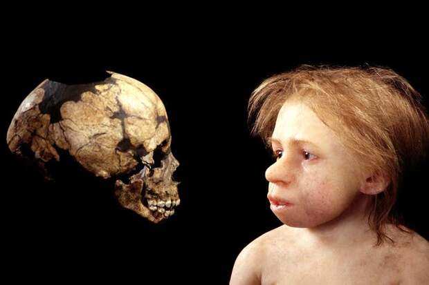 Сможет ли современная женщина родить неандертальца и почему это плохая идея