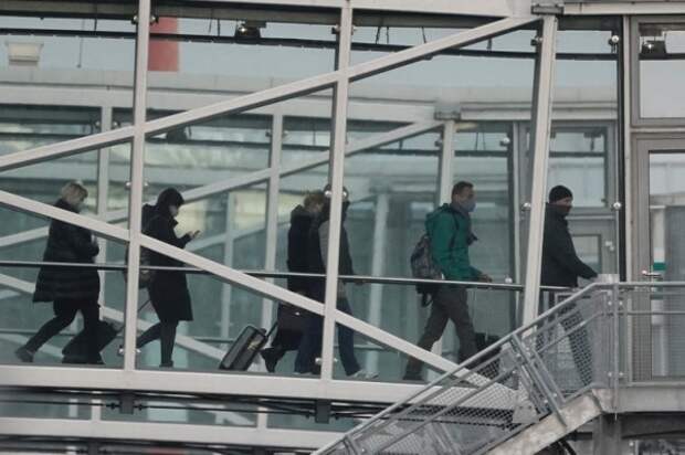 Задержание и арест "бедного Алёшеньки"