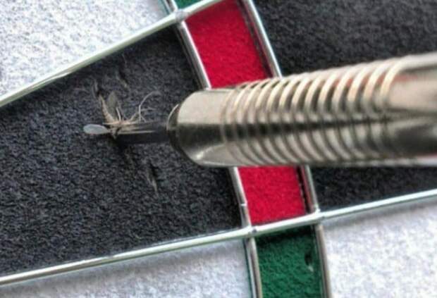 10 фото, на которых запечатлены редкие моменты