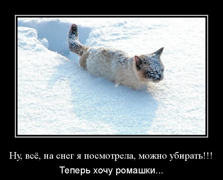 Подборка веселых и смешных демотиваторов со смыслом (10 фото)