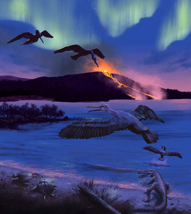 Изучение древних мошек показало, что птицы освоили Арктику уже в мезозое Янтарь, палеонтология, наука, птицы, мезозойская эра, интересное, копипаста, elementyru, длиннопост
