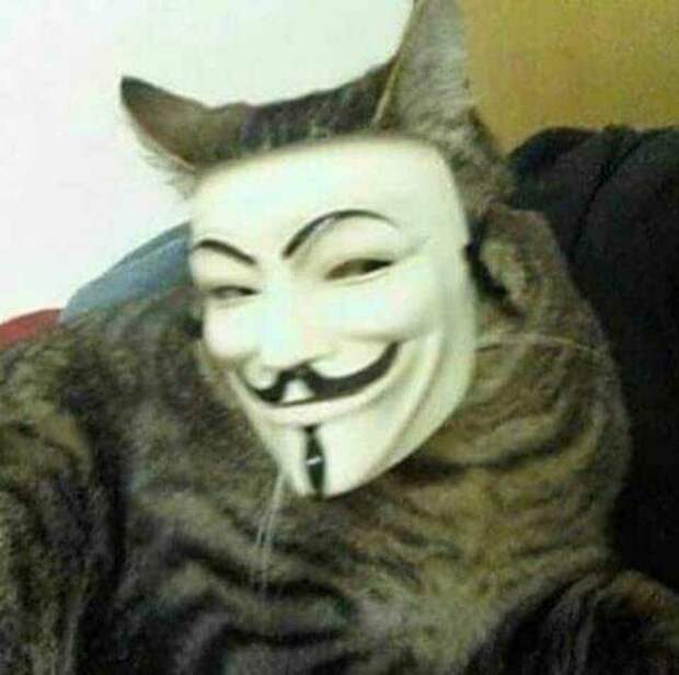 Когда хозяин слегка идиот