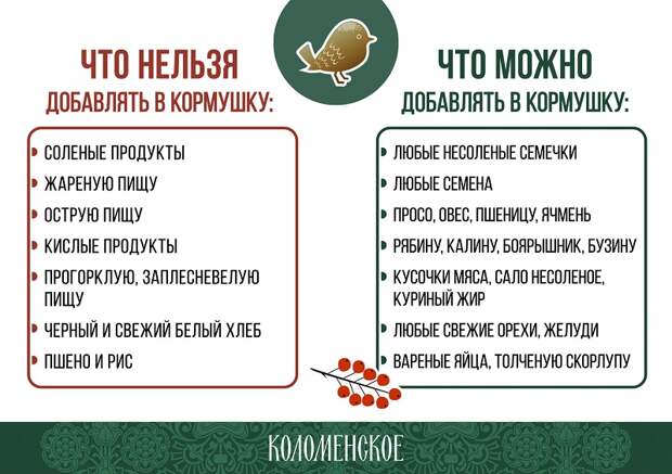 музей-заповедник «Коломенское», флешмоб, кормушка, птицы