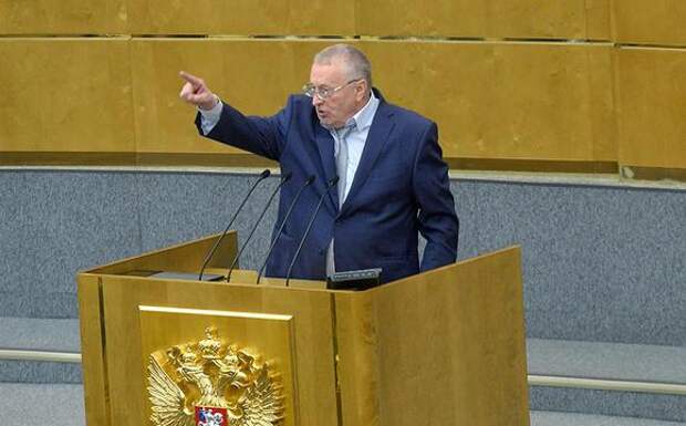 Лидер ЛДПР, член Госсовета РФ Владимир Жириновский