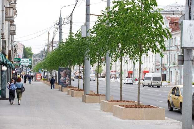 В Новомосковске, Болохове, Суворове и Советске могут появиться новые скверы и парки