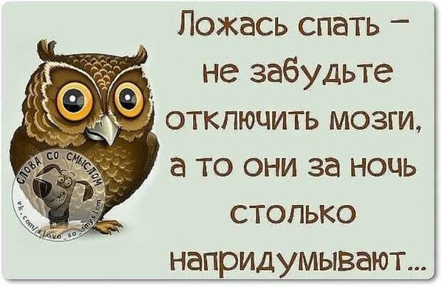 22 классных веселых анекдота