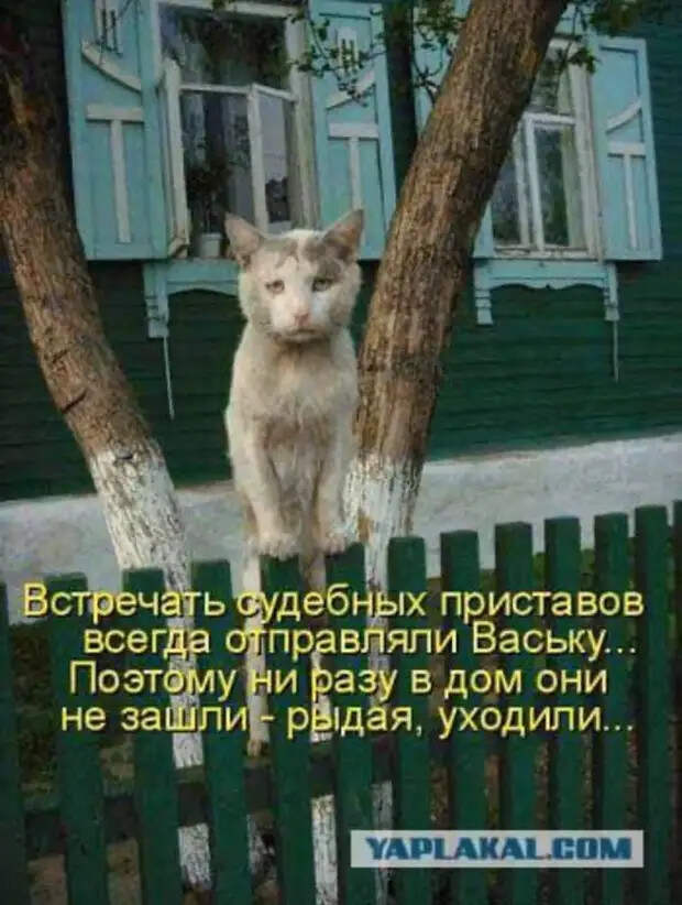 Если хочешь бутерброд - посмотри на свой живот