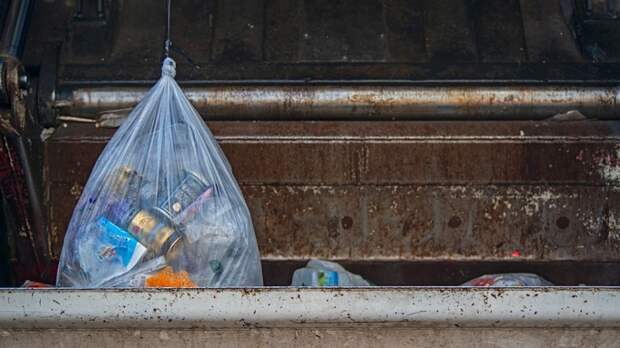 СМИ: в Алтайском крае выбрали участок под мусорный полигон для Барнаула