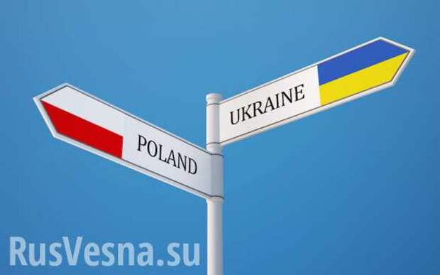 В ЕС унизили Украину, сравнив с Польшей | Русская весна