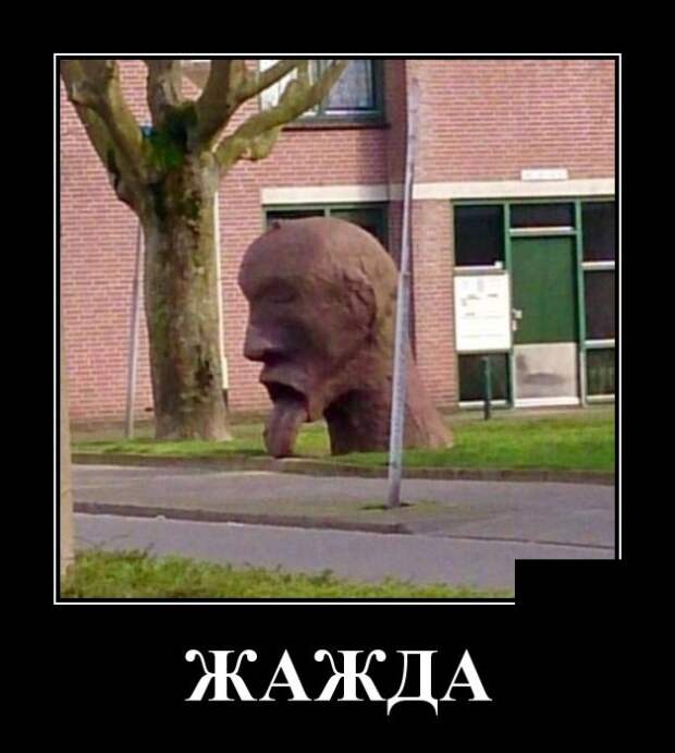Демотиваторы