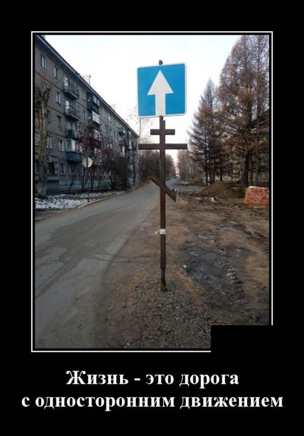 Демотиваторы (20 фото)