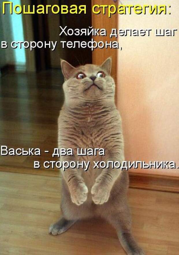Мысли вслух :)