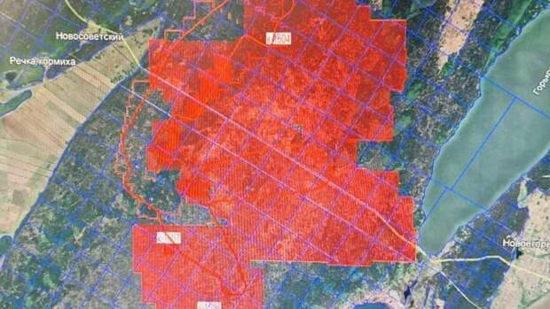 Площадь лесного пожара в Егорьевском районе выросла до 3400 га