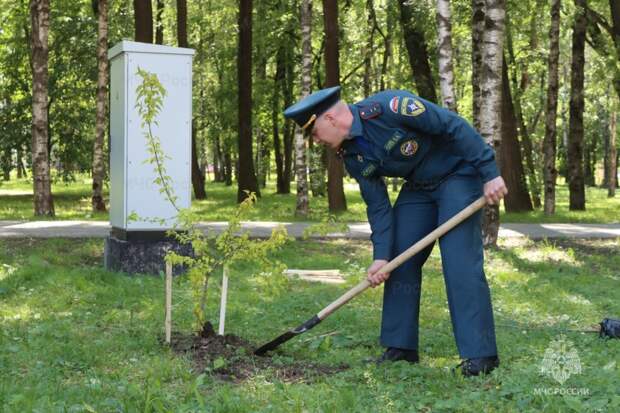 В Вологде появилась аллея 35-летия МЧС России
