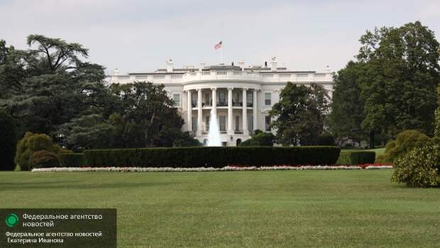 Песков назвал лучшего кандидата в президенты США