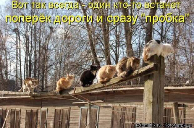 Мысли вслух :)