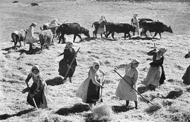 Как выглядели советские женщины 1930-х годов (ФОТО)