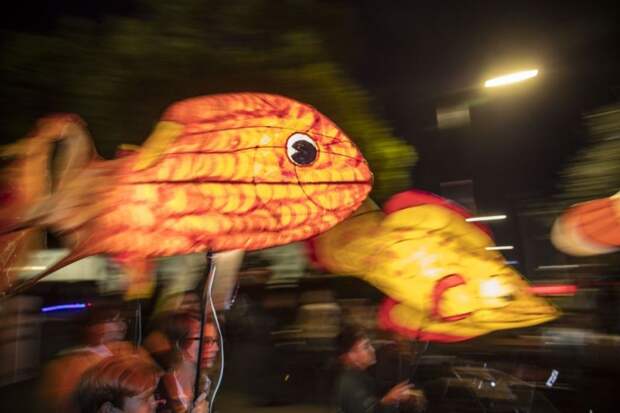 Luminous Lantern Parade в Австралии