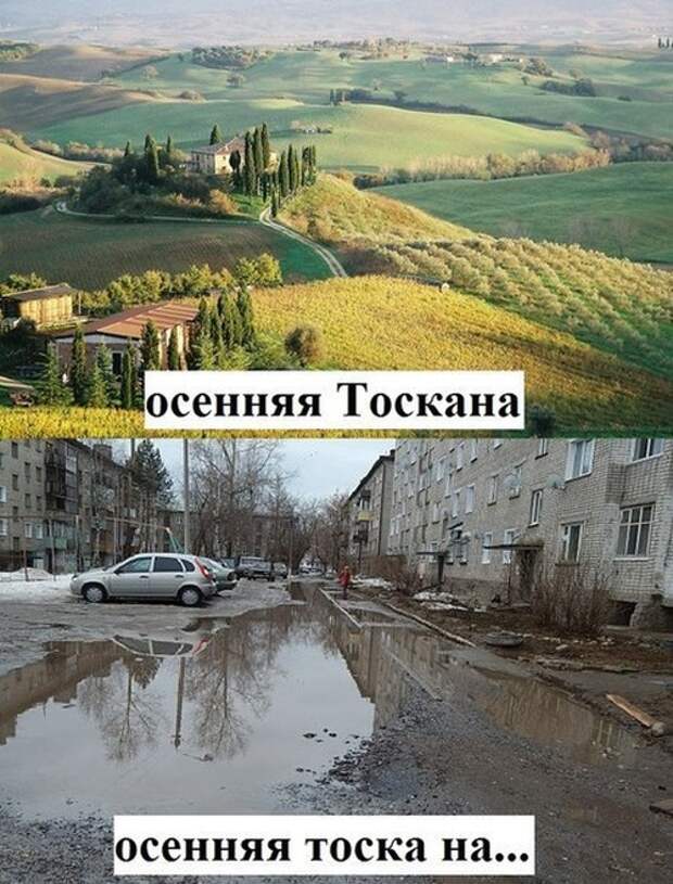 Подборка картинок. Дневной выпуск (22 фото)