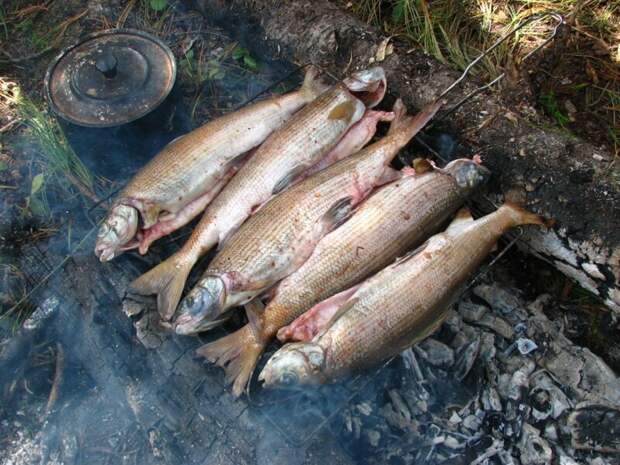 Рыбачим в долине реки Туралыг. Хакасия Хакасия, путешествие, рыбалка, туралыг, туризм