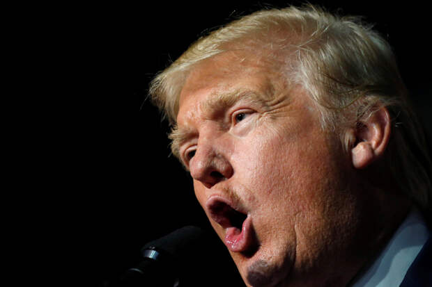 Журналисты обнаружили знакомый с ходом мыслей Трампа источник