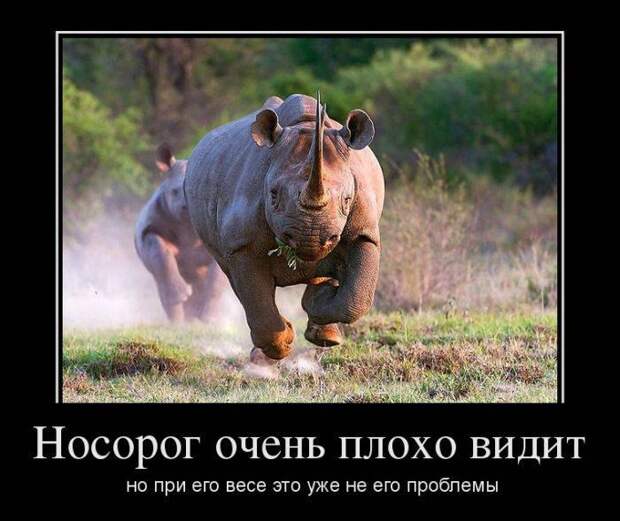 Позитивные и смешные демотиваторы со смыслом (10 фото)