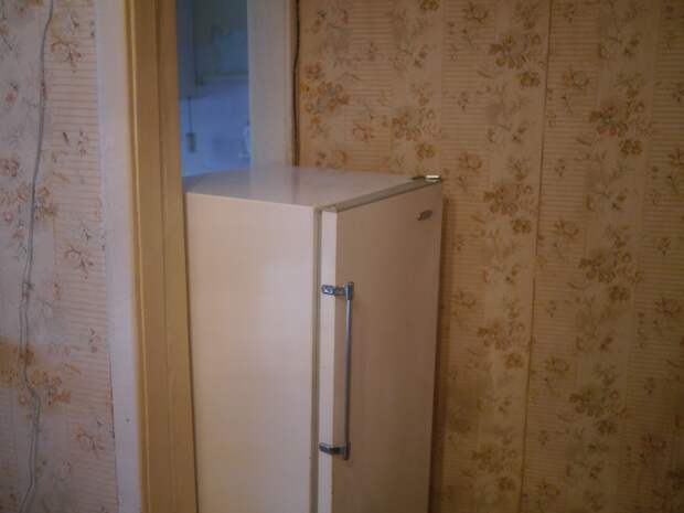 Малолетние брат и сестра умерли, играя в прятки в морозильной камере