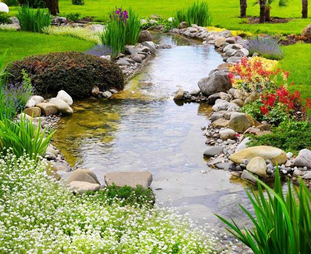 пруд, клумба, цветы, сад, вода