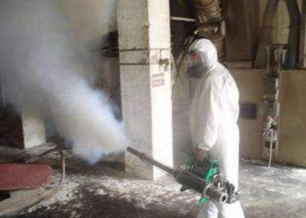 Предупредить легче, чем победить: 6 полезных советов, которые помогут уберечь дом от тараканов