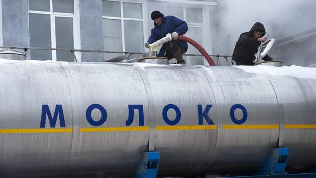 Россельхознадзор рассказал о фальсификации молока с помощью мела и гипса Россельхознадзор рассказал о фальсификации молока с помощью мела и гипса