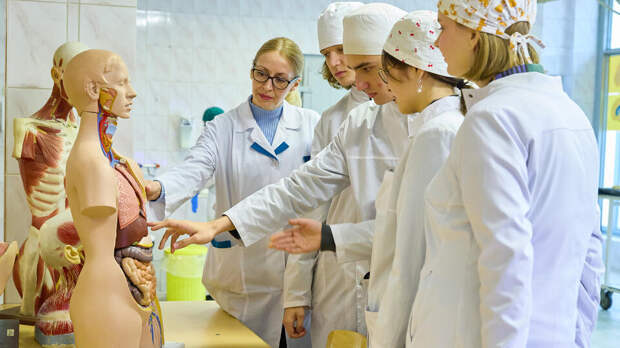 Российские школьники хотят стать инженерами, врачами и айтишниками