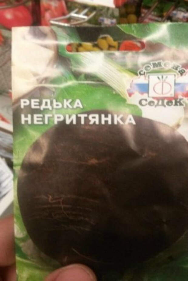 Редька негритянка. Редька негритянка.