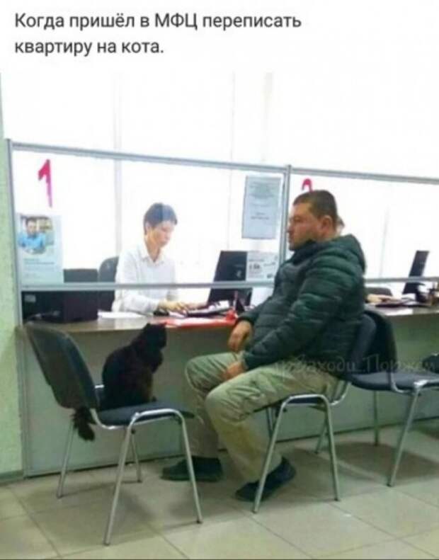 Юмор на любителя