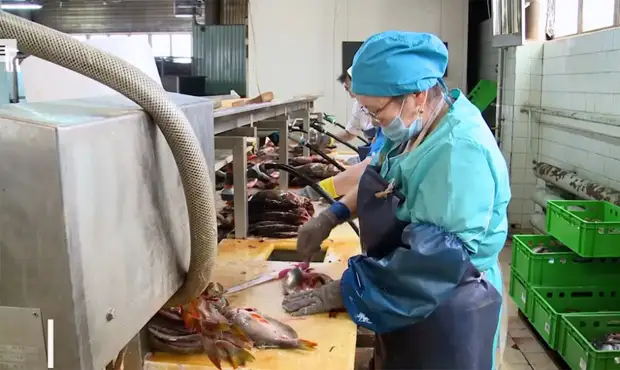 Ямальские предприниматели готовы занять освободившиеся на рынке ниши