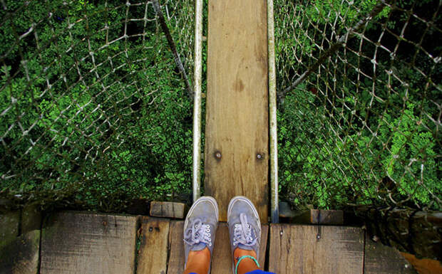 Мост Canopy Walk, Гана