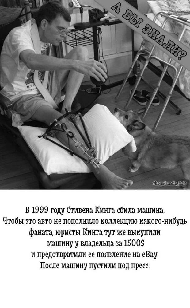 интересные факты