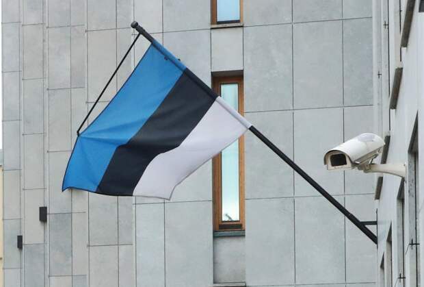 Эстония предложила новый способ помочь Украине за счет России