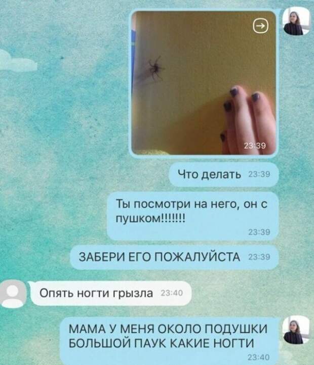 www.vsyako.net