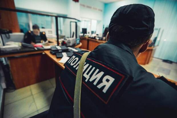 На севере столицы сотрудники полиции задержали подозреваемого в хулиганстве Фото: pixabay.com