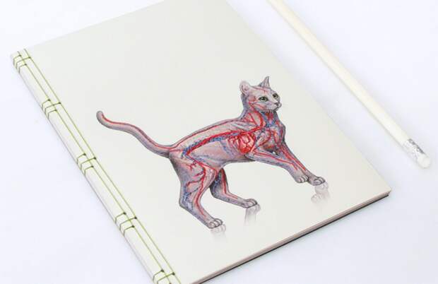 Fabulous Cat Papers