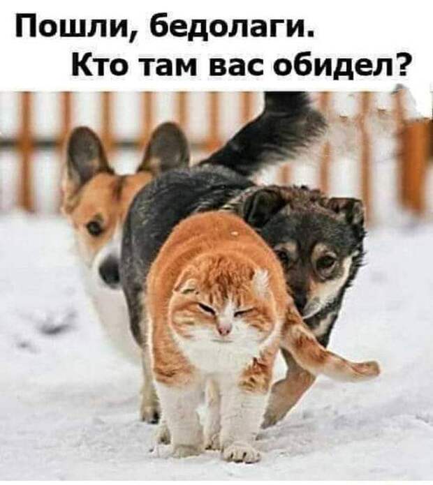 @psychology_funny  #юмор #смешное #приколы