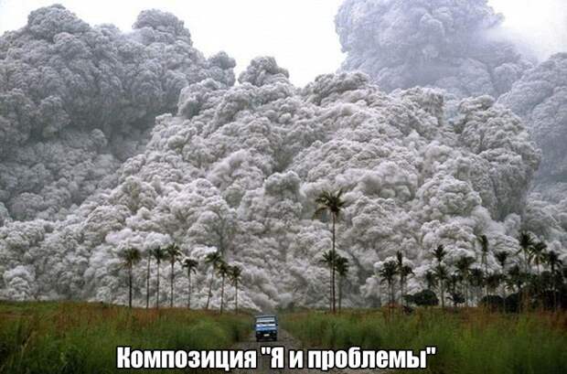 Фотоподборка вторника (55 фото)