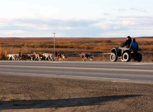 IMG_0771Large IMG_0771Large