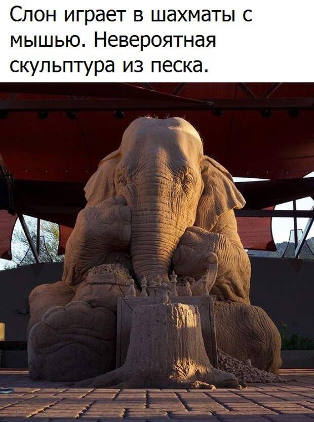 Позитивные фотографии и милые картинки для улыбки