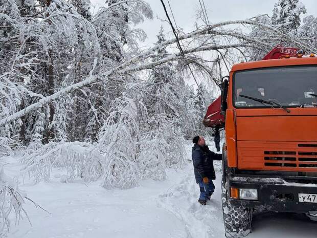 Снегопад и метель вызвали локальные отключения света в районах Рязанской области