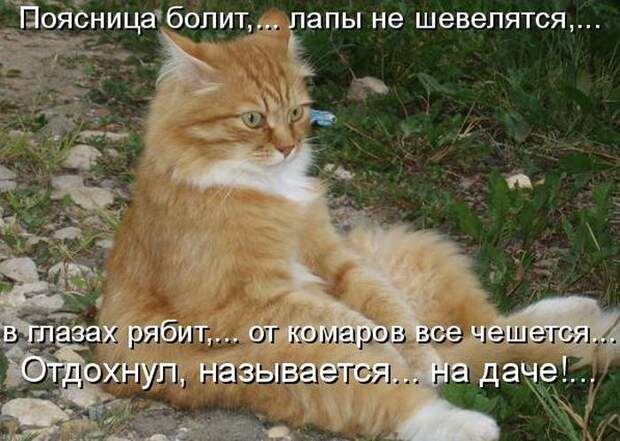 Мысли вслух :)