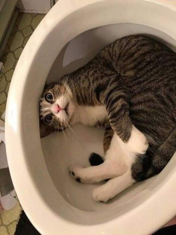 Тут занято, разве не видно?