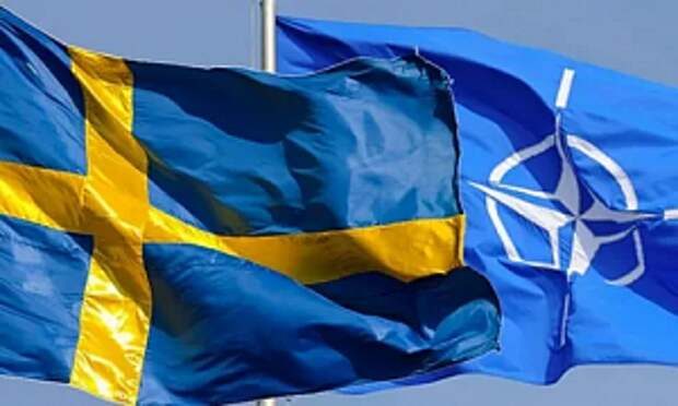 Почему шведы не захотели в НАТО? Альянс раскалывается на группировки и в него уже не хотят вступать