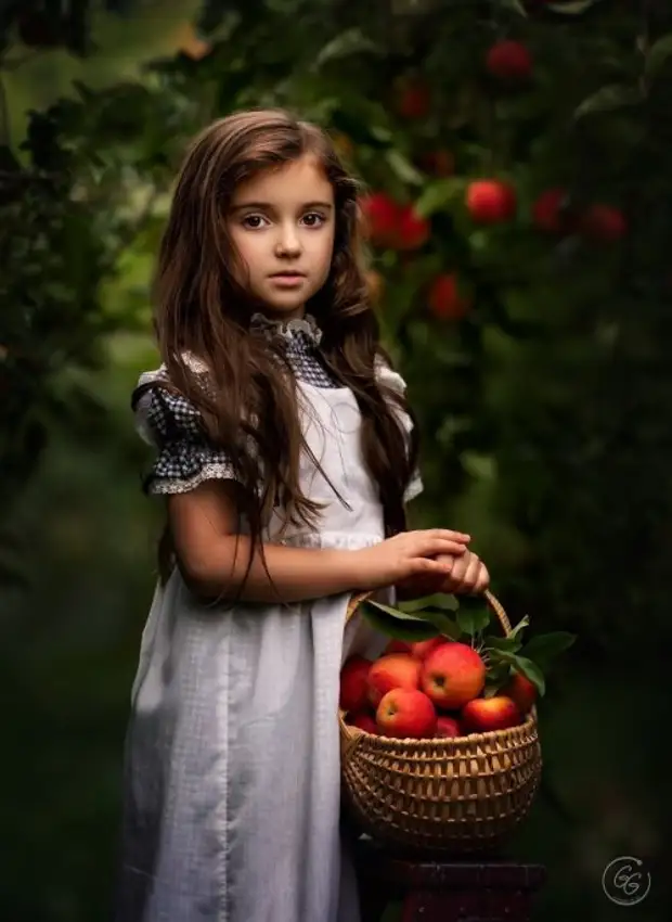 �������������� ������������ �����