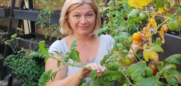 Геращенко: топонимический кретинизм – особая черта «русской души»